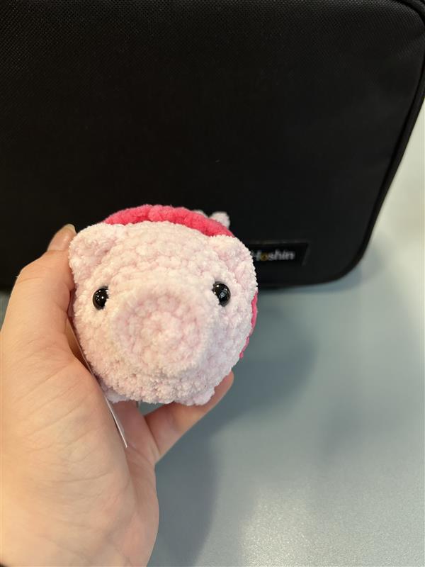 Crochet Pig in Blanket